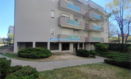 Ampio 3 locali piu' servizi e box.